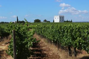 Jakie regiony Portugalii są najbardziej znane z produkcji win i jakie unikalne cechy mają ich wina?